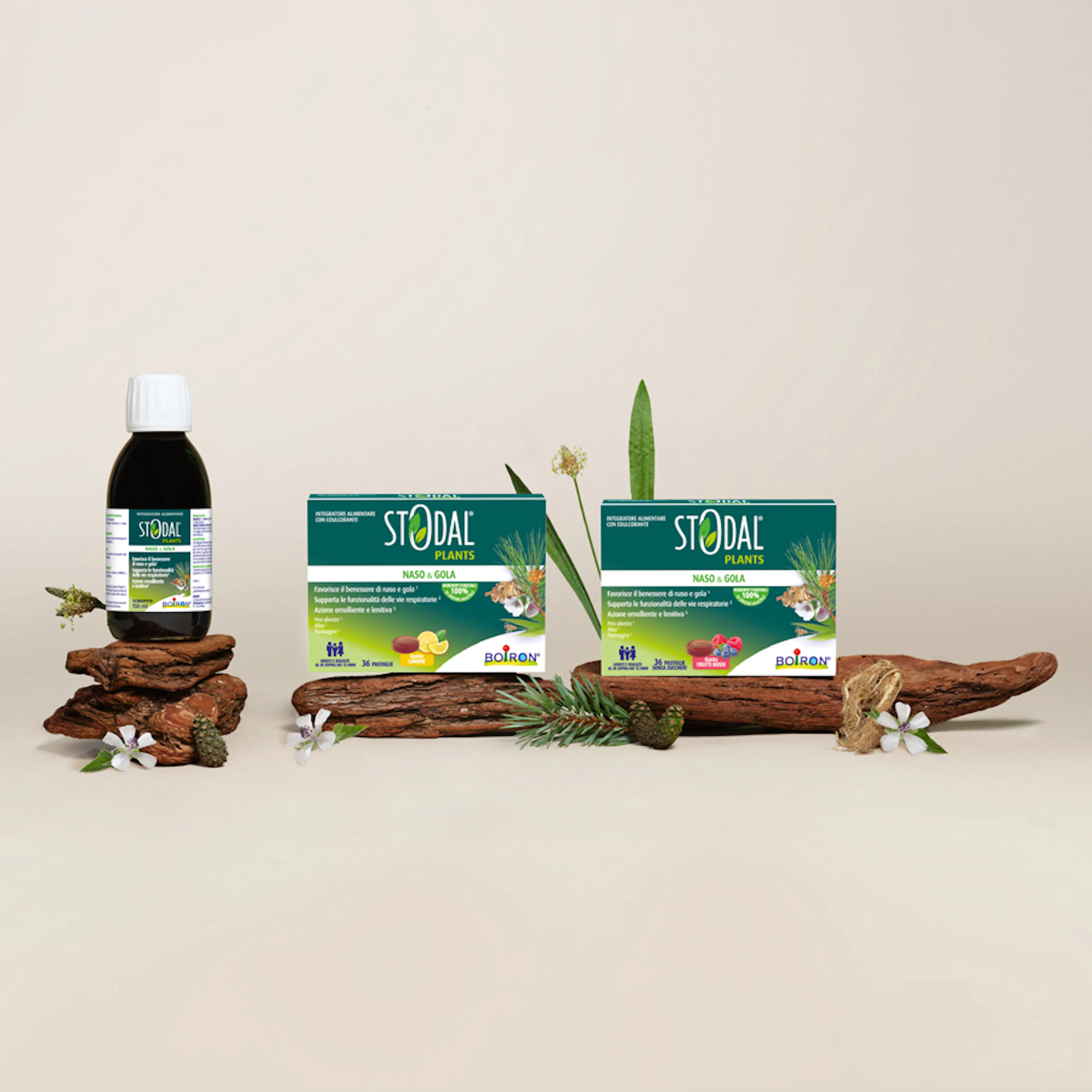 Gamma Stodal Plants Naso & Gola