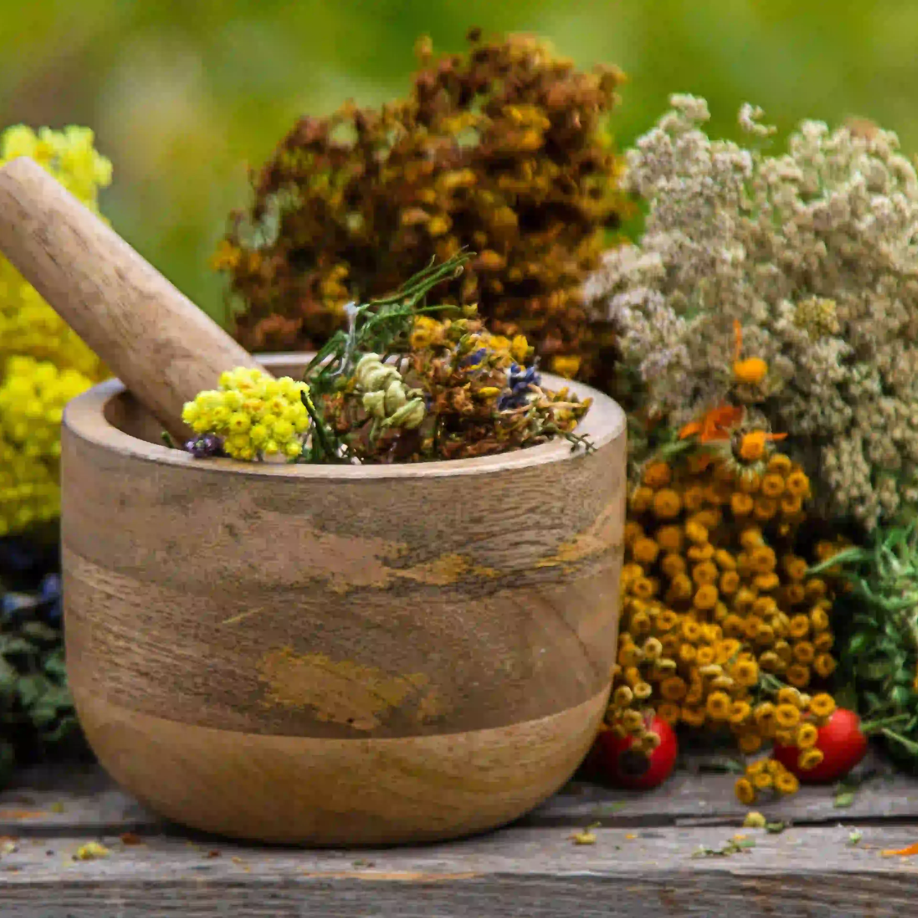 Plantes médicinales utilisées en phytothérapie pour leurs principes actifs
