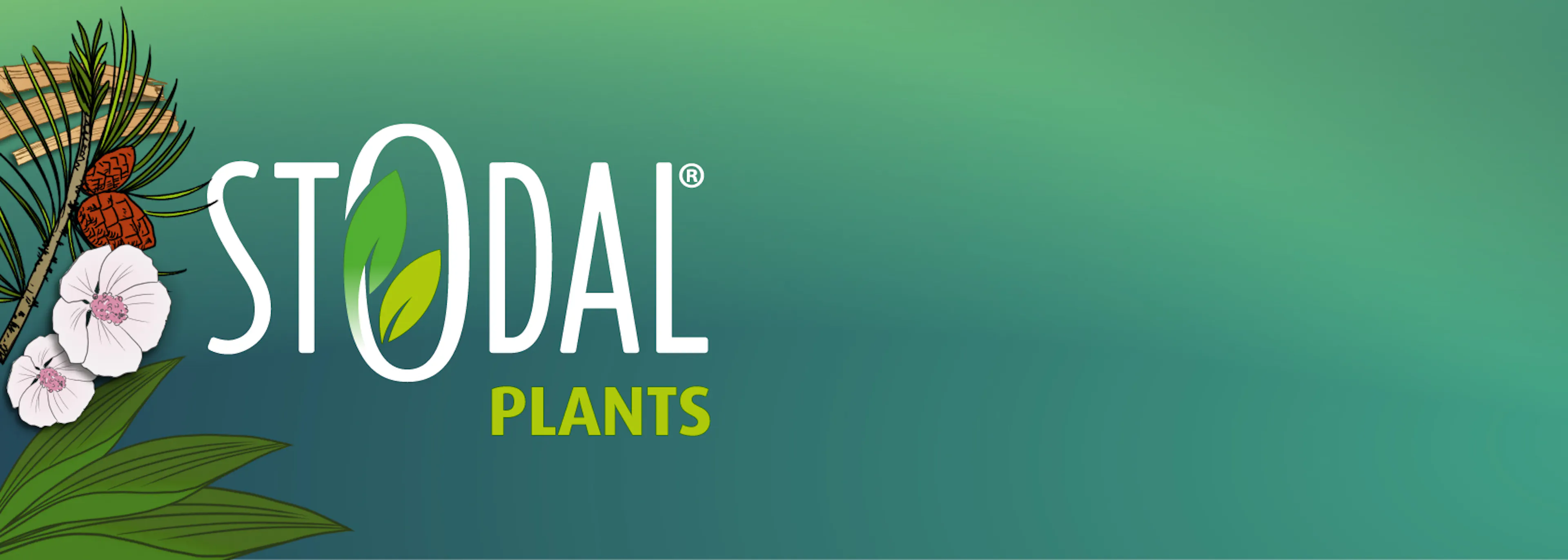 Stodal Plants gamma header