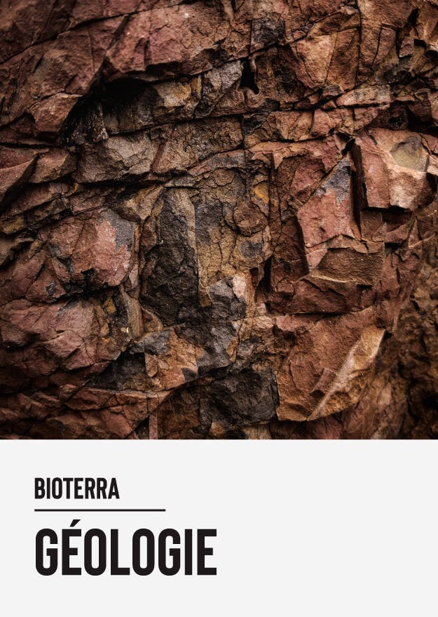 bioterra environnement