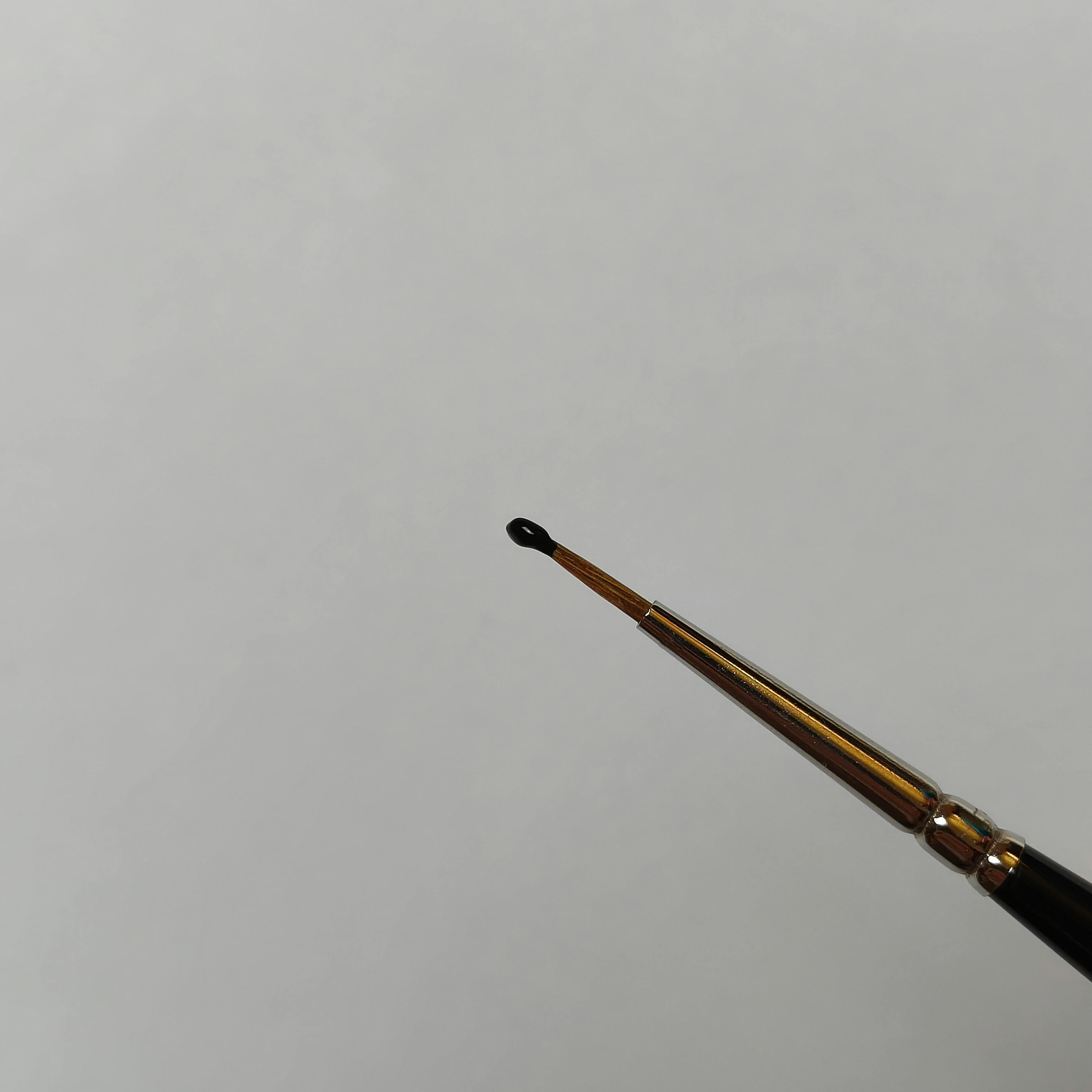 Brush with black paint