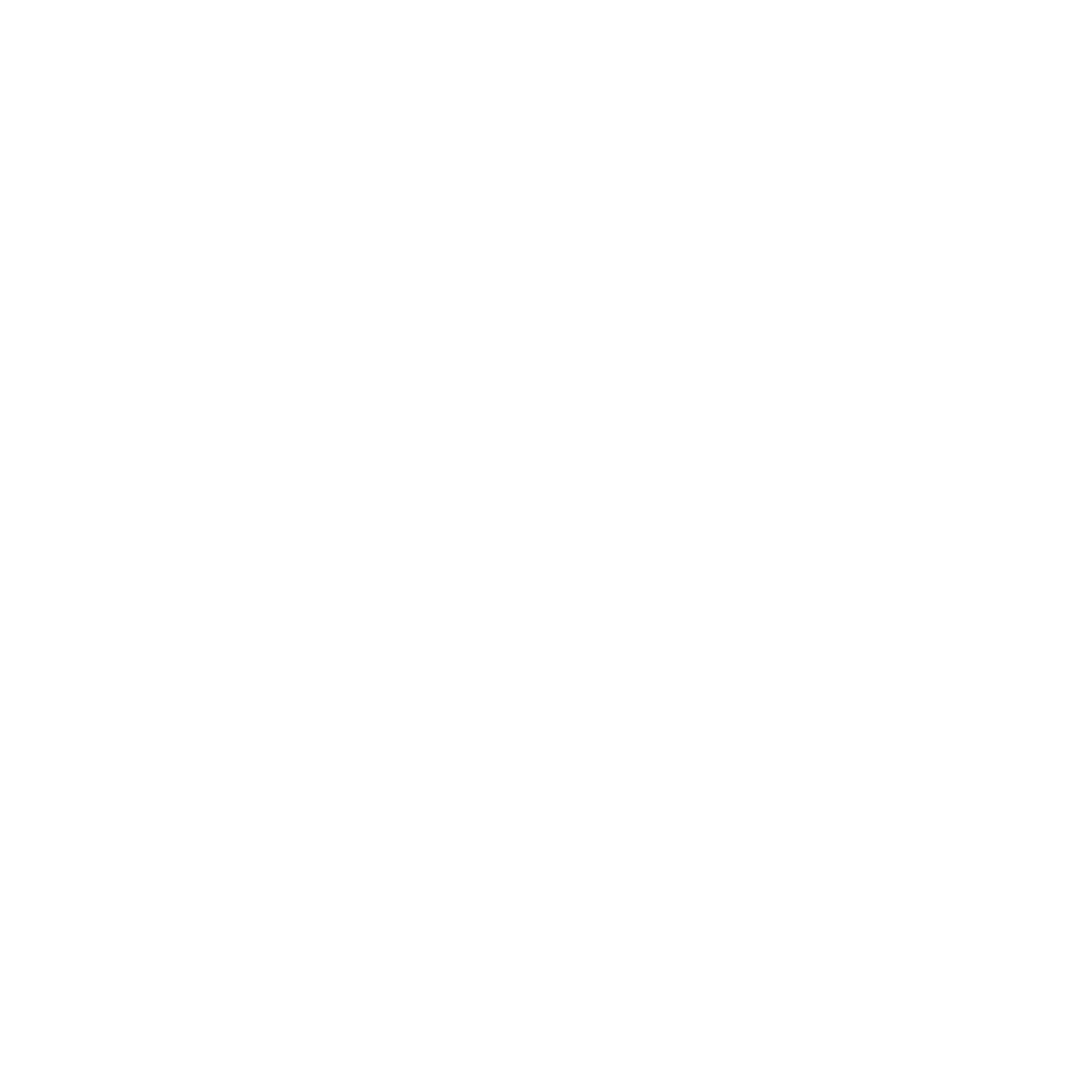 THE VIRAL HUB