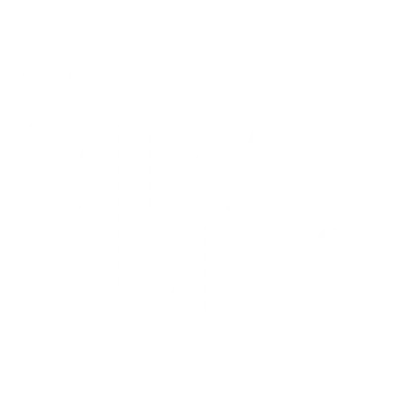 THE VIRAL HUB