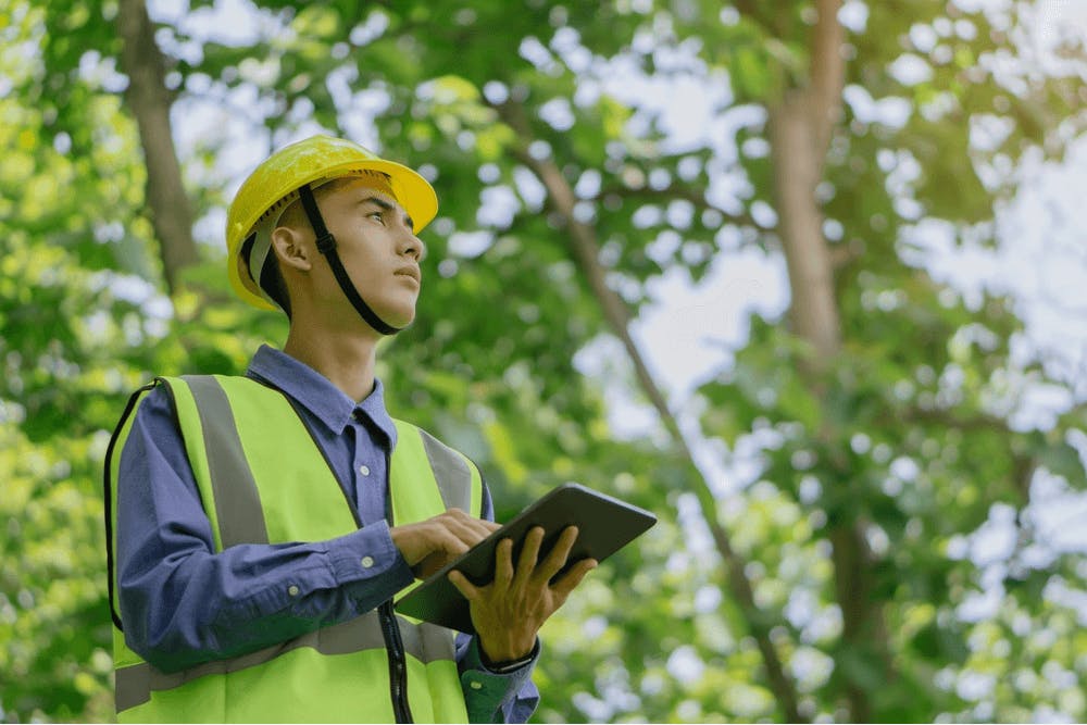 Utility company worker performing sustainability assessments