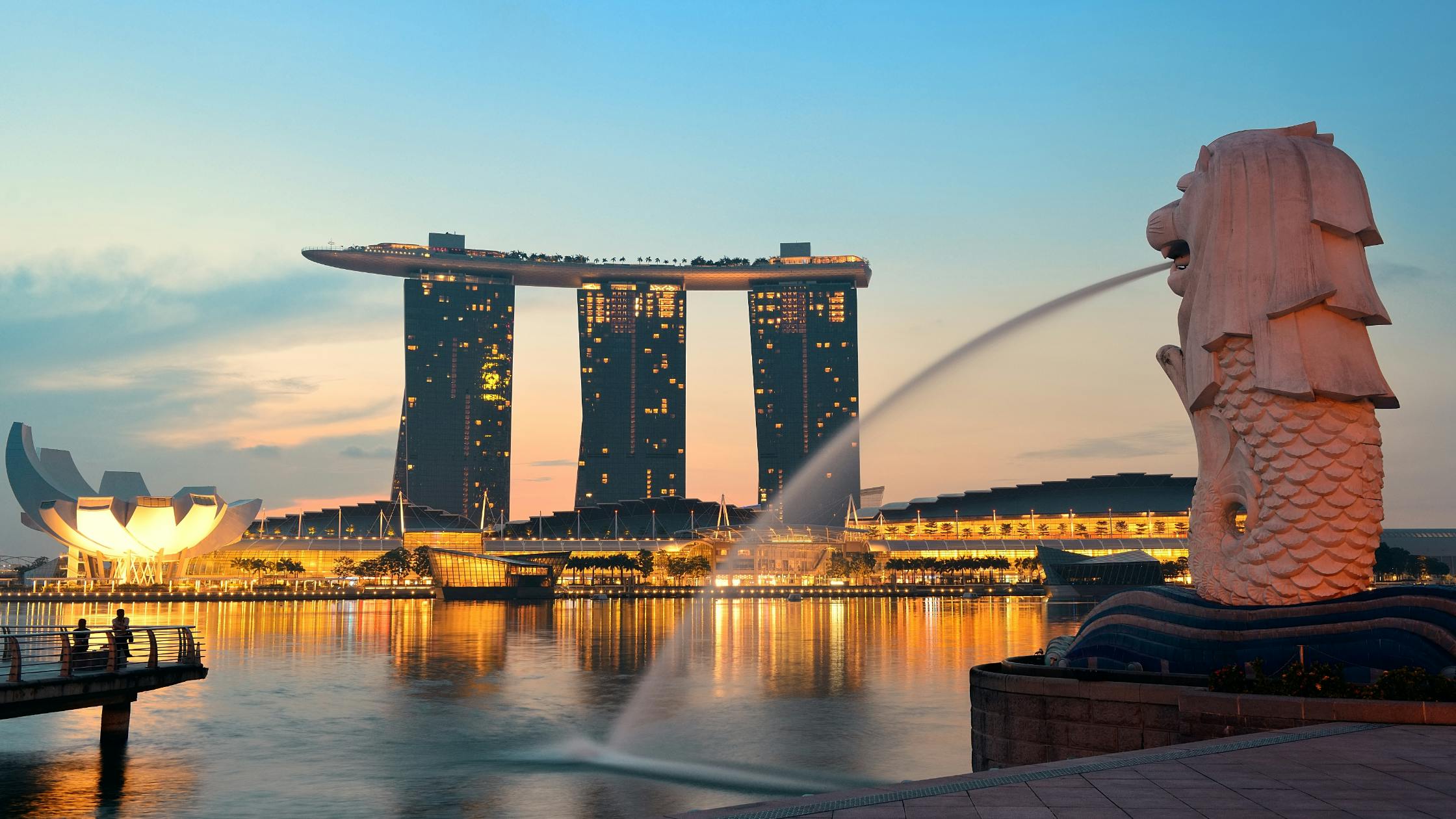 Coaching designed to align with Singapore's evolving workforce needs