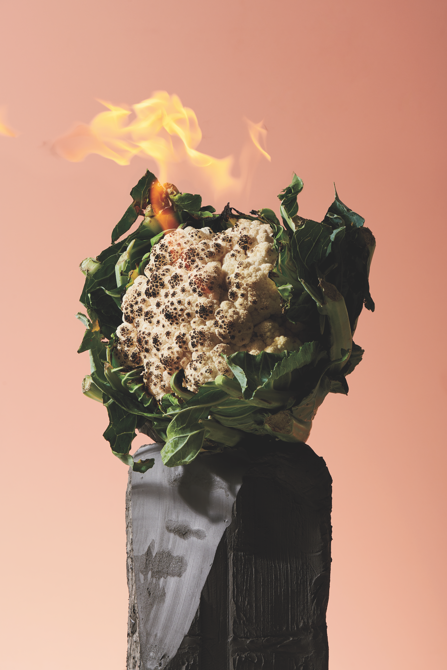 shooting mint natures mortes 