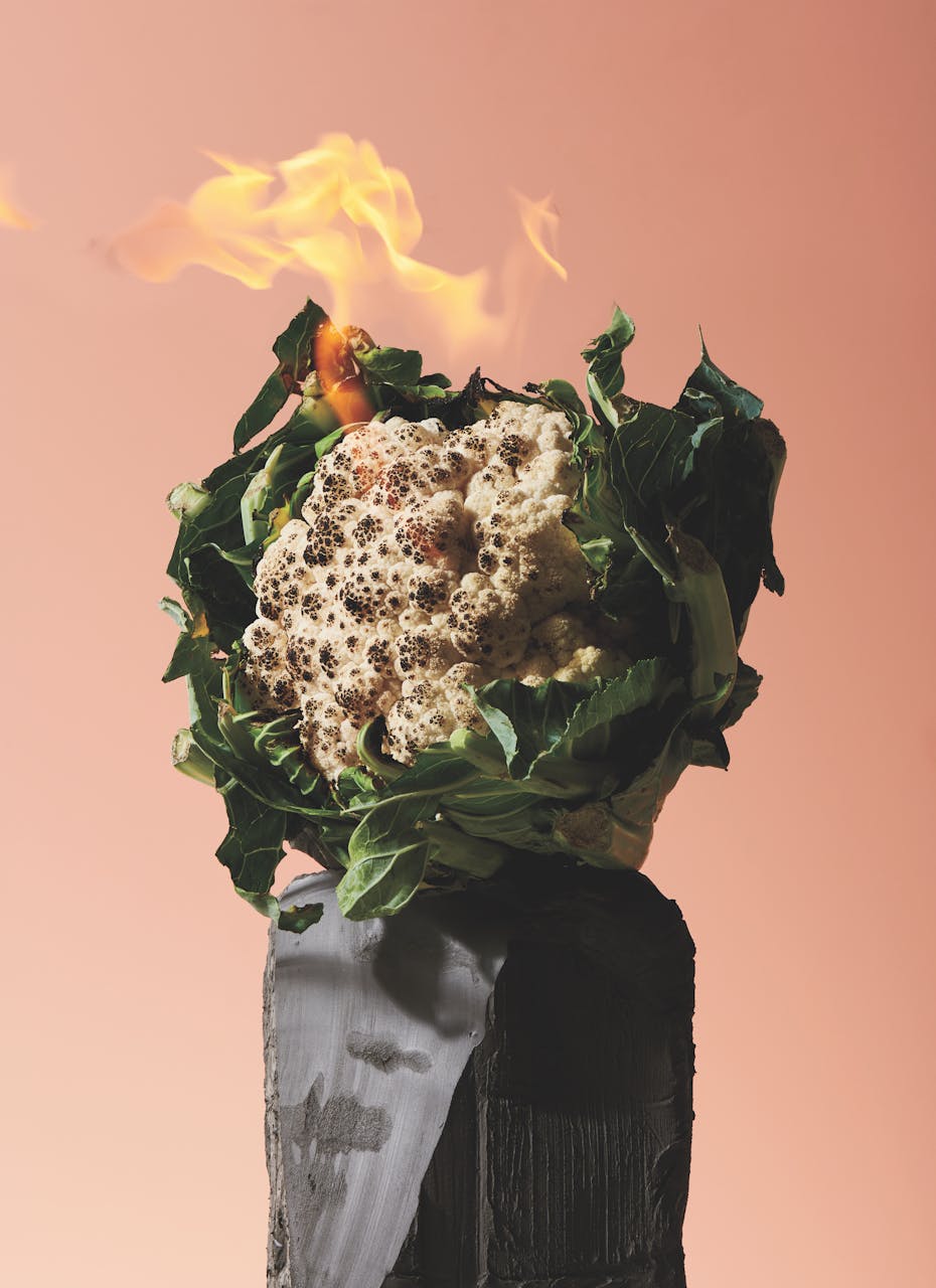 shooting mint natures mortes