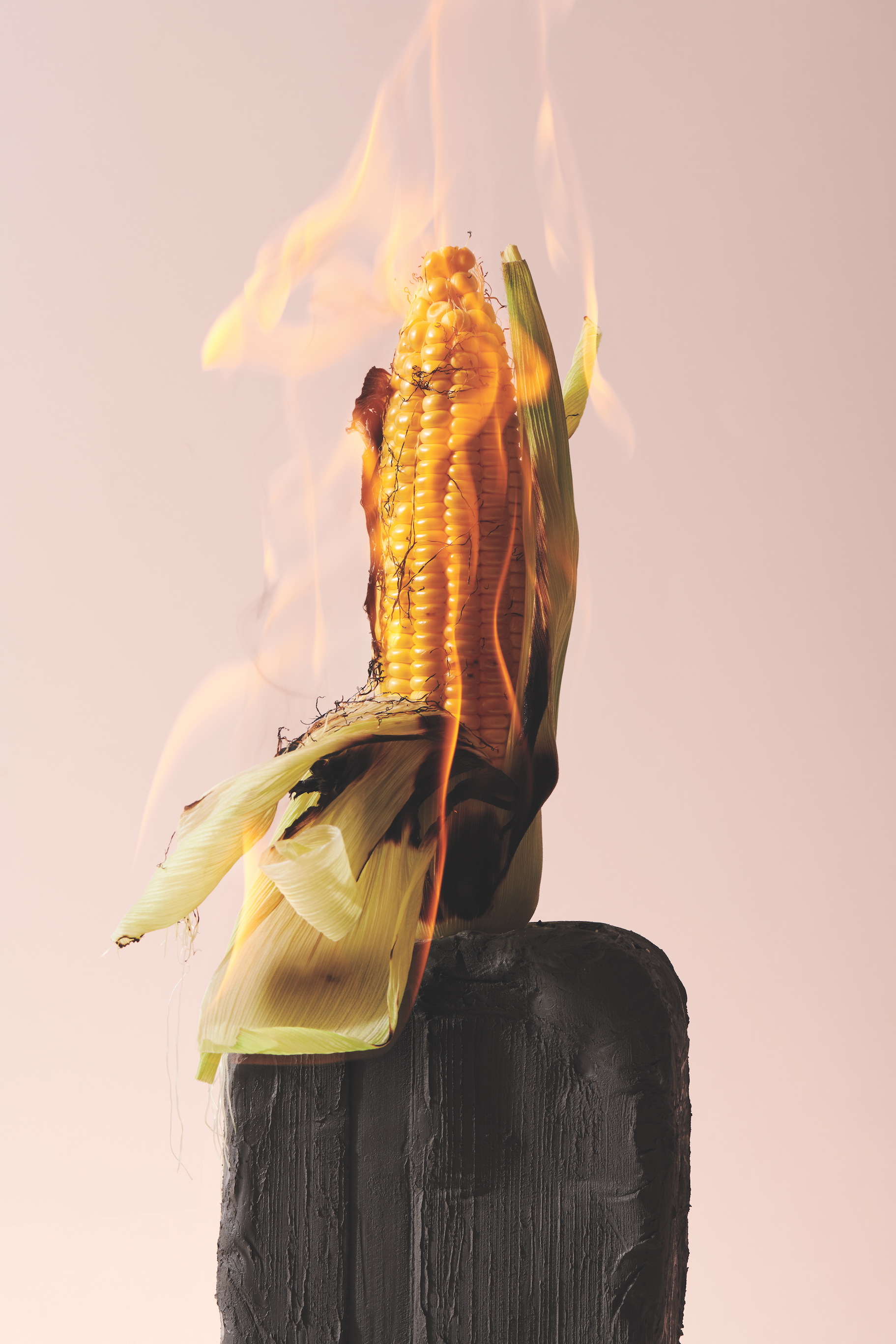 shooting mint natures mortes 