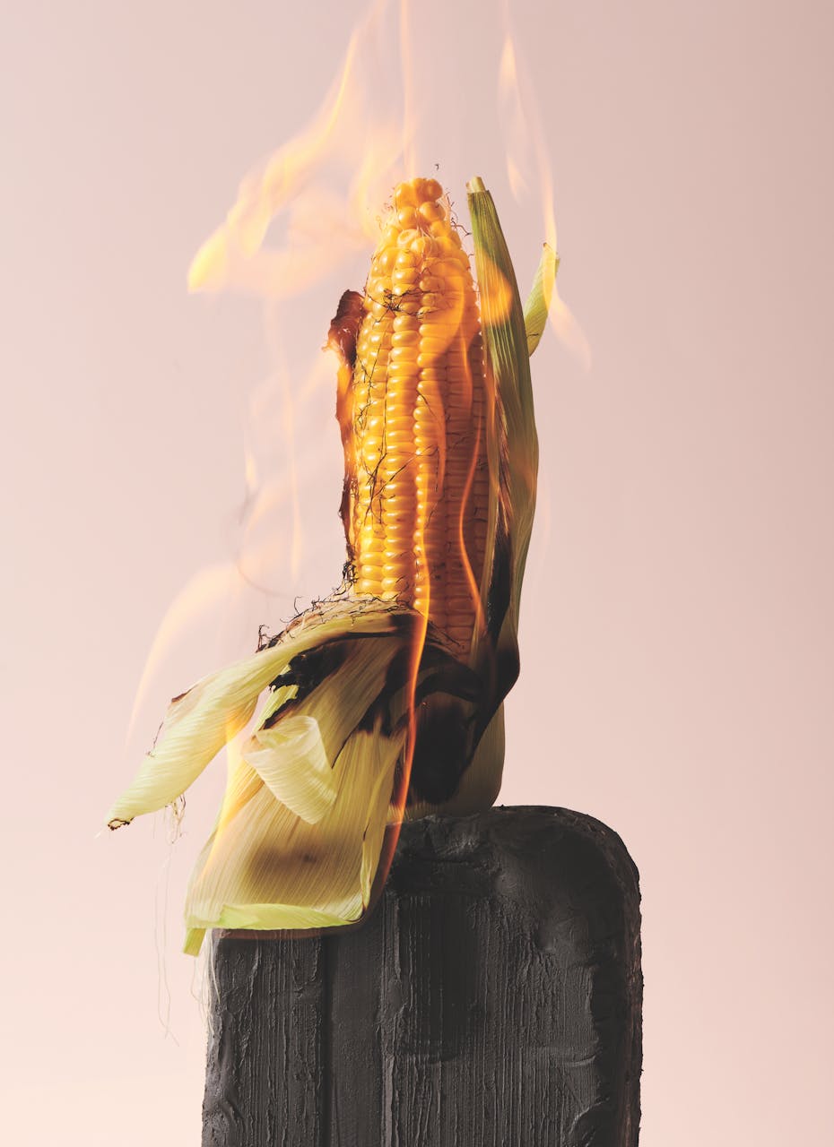 shooting mint natures mortes