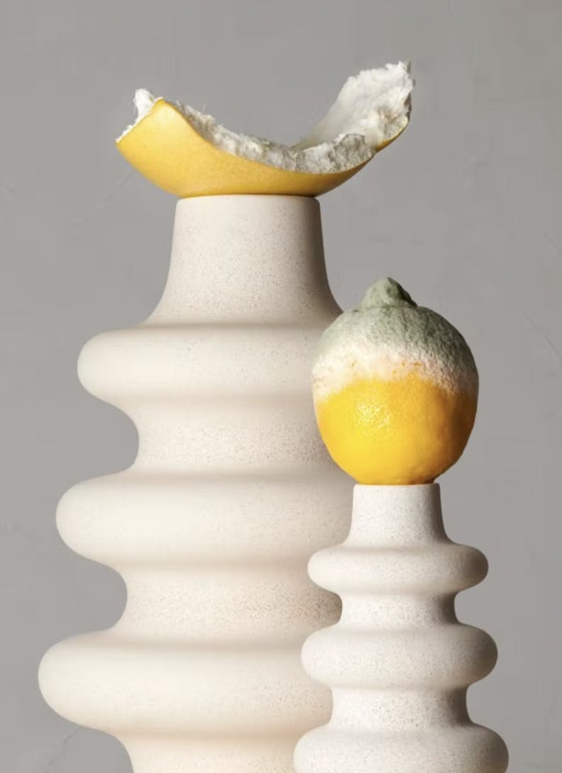 mint shooting nature morte
