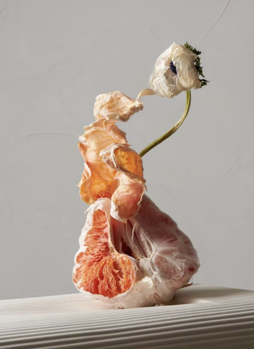 mint shooting nature morte 