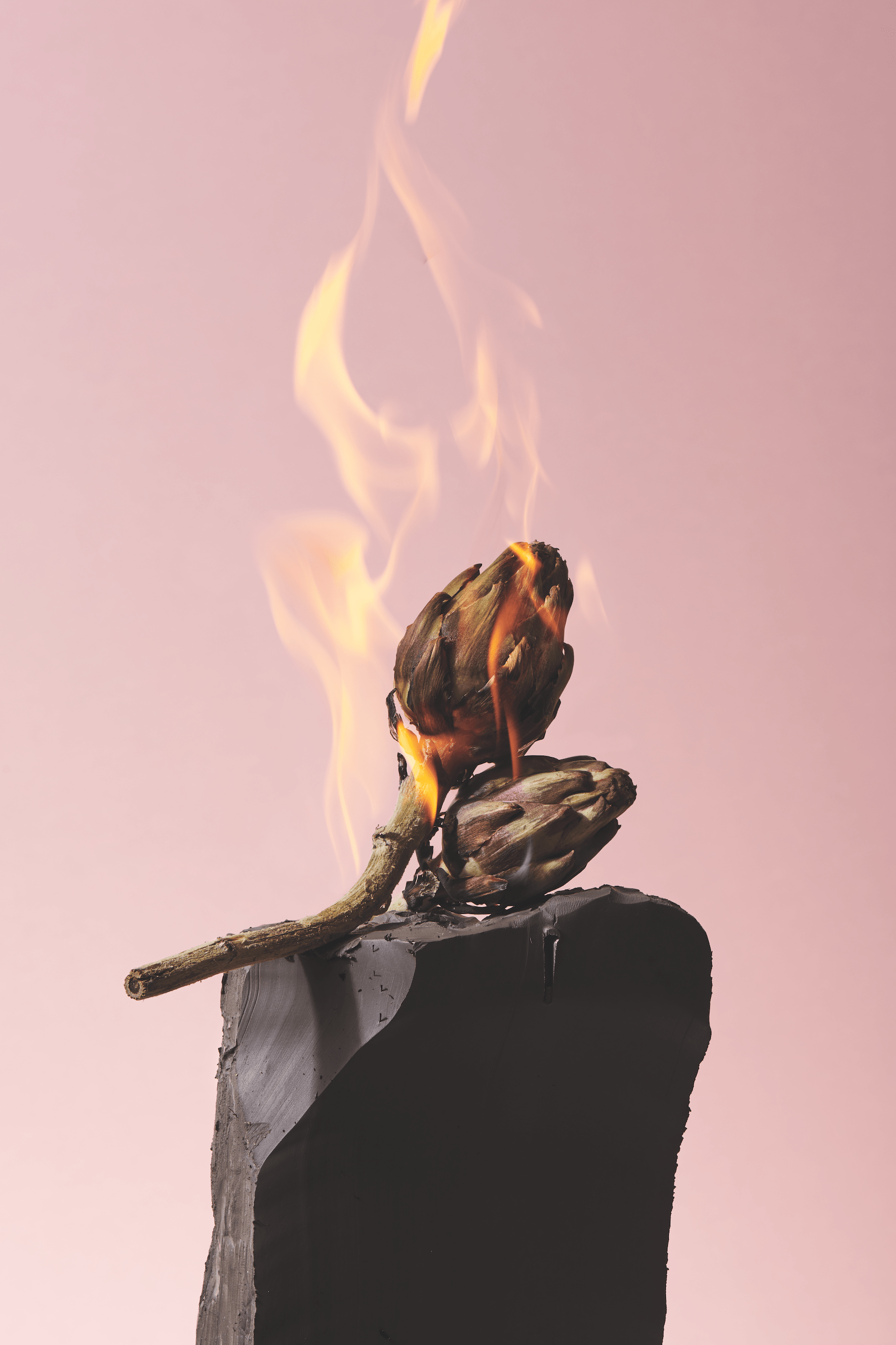 shooting mint natures mortes 