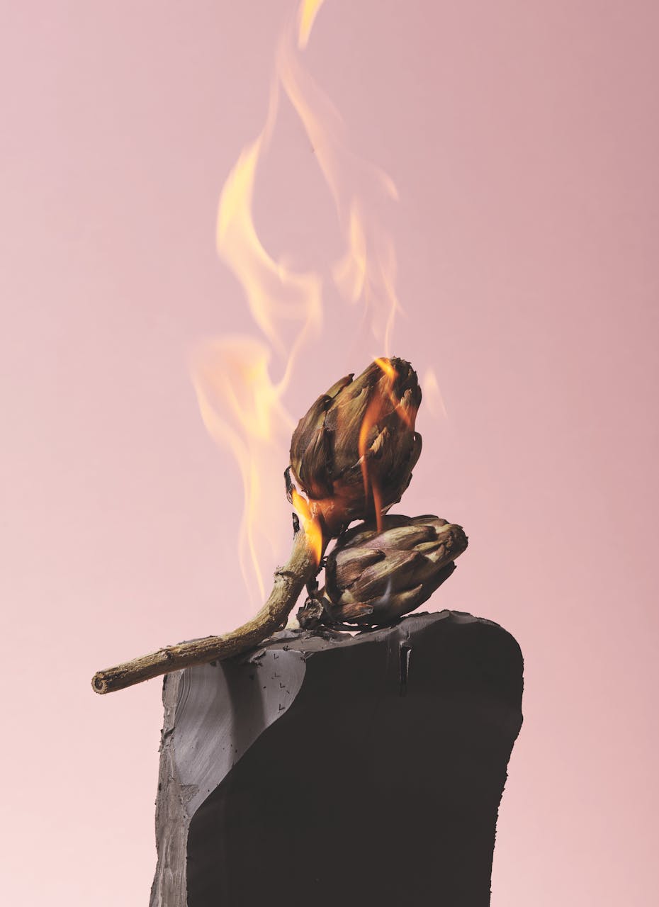 shooting mint natures mortes