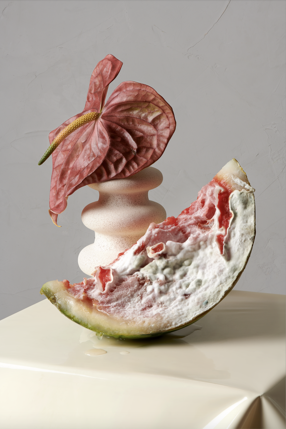 mint shooting nature morte 