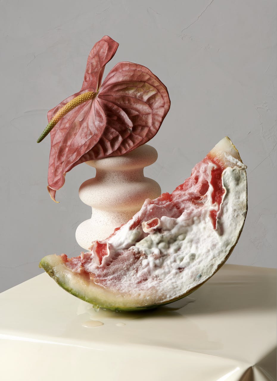 mint shooting nature morte