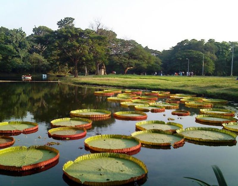 Botanical Garden