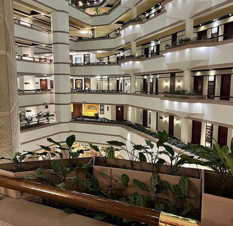 Taj bengal
