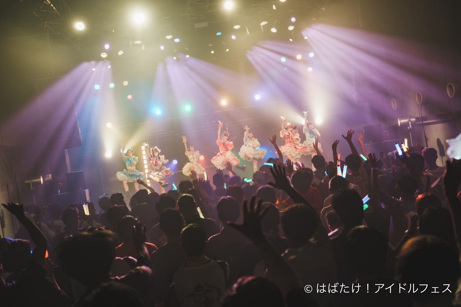 Yukata, Swimsuits, and Collaborations: TV Osaka's 