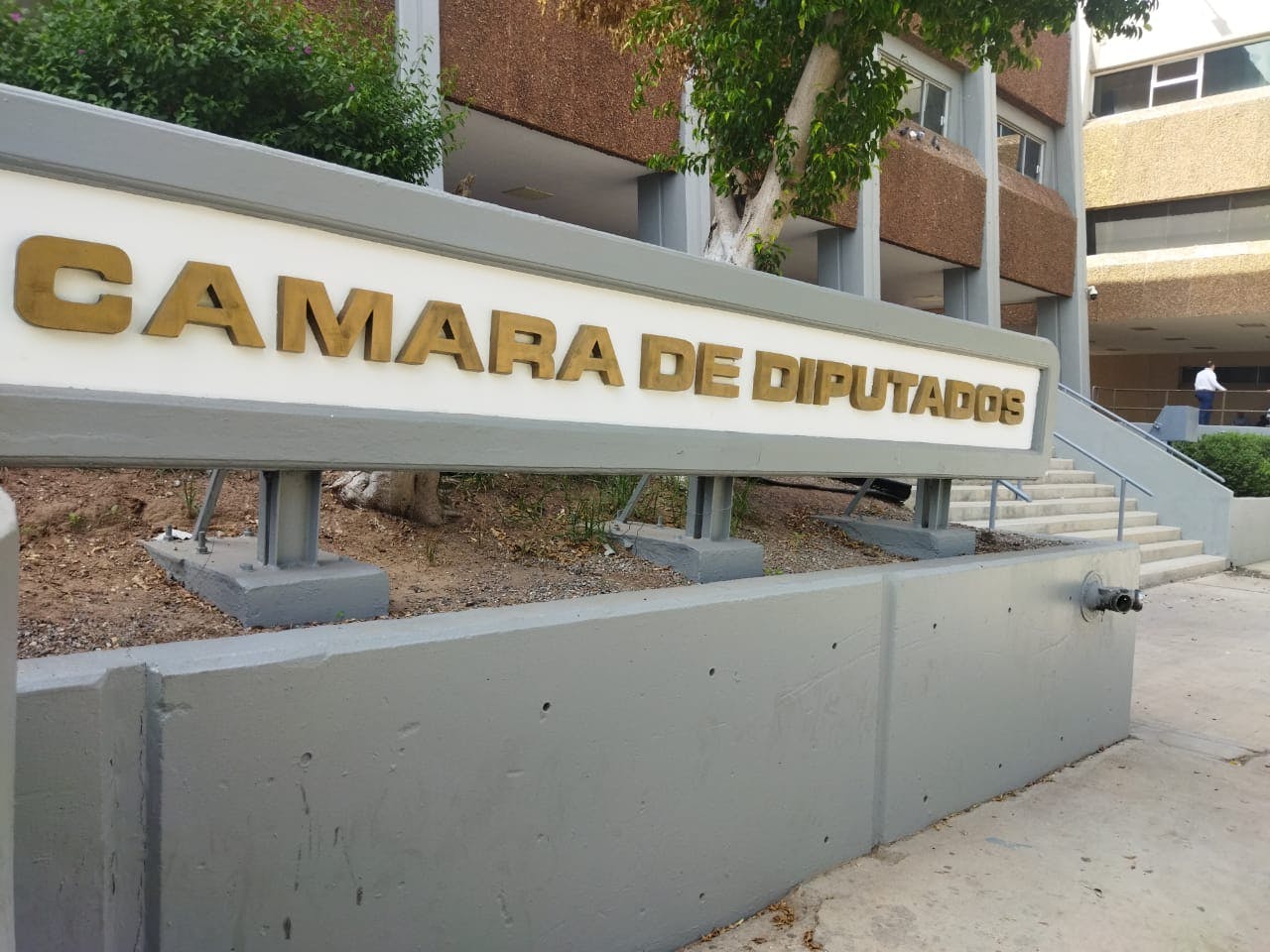 Cámara de diputados