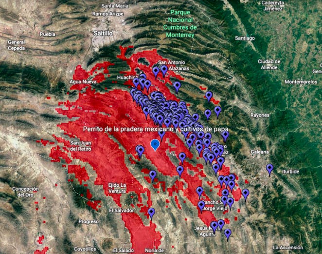 Mapa que muestra como las concesiones de extracción de agua subterránea se encuentran en el área de dispersión potencial del perrito de la pradera mexicano