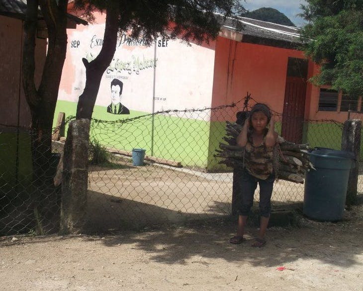 mujer indigena carga pedazos de madera