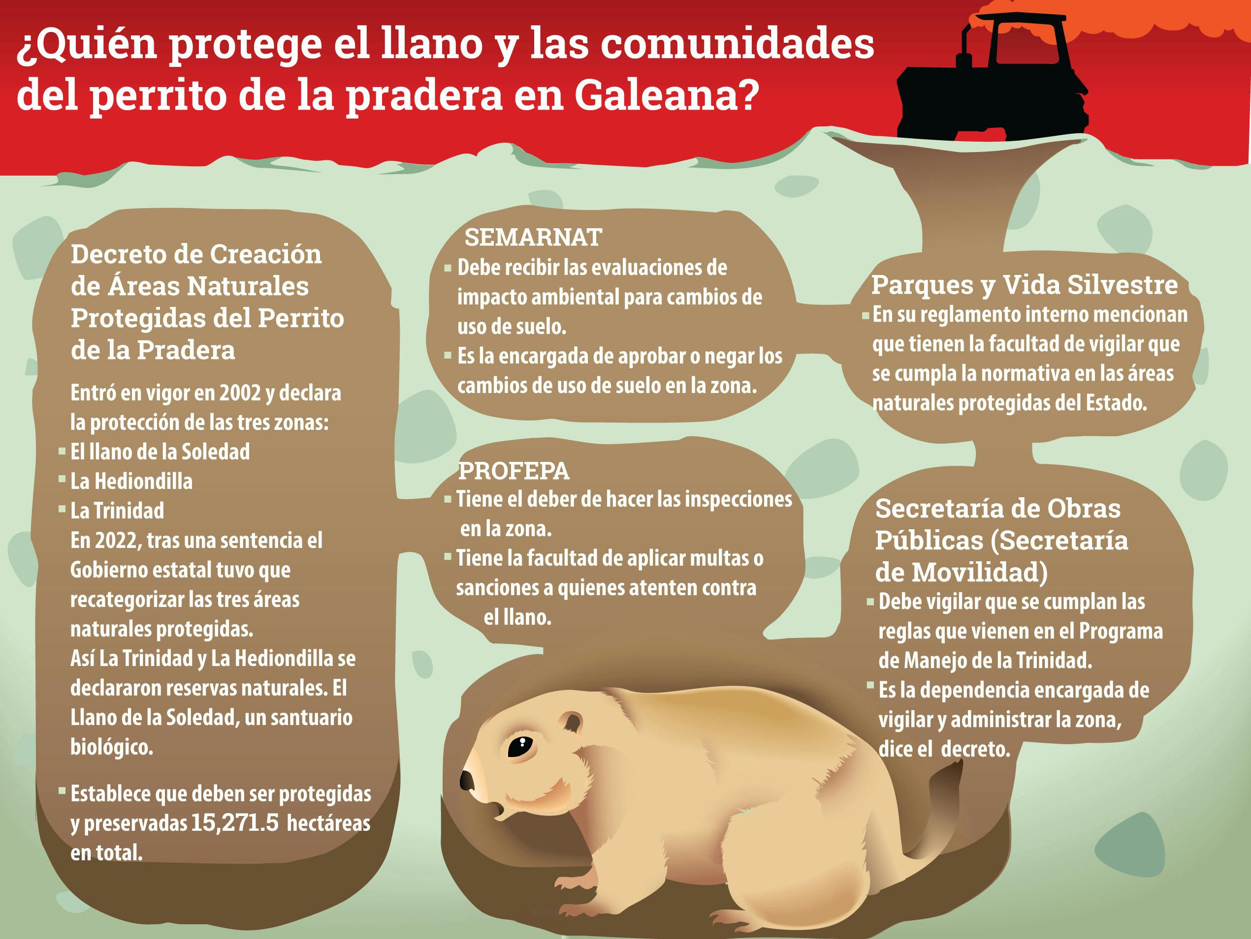 Infografía que muestra las autoridades y leyes que deberían proteger el hábitat natural del perrito de la Pradera en Galeana