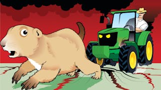 Acaban con el hábitat de los últimos perritos llaneros mexicanos