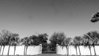 Siguiendo la ruta del dinero