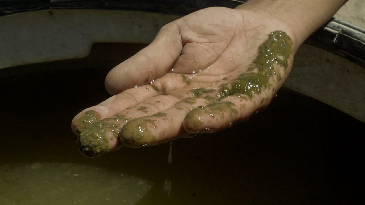 Una persona muestra el agua sucia con su mano