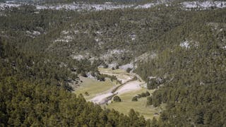 Crónica de un despojo histórico: Pierden Rarámuris 33 mil hectáreas por vacíos legales y logran recuperar 11 mil