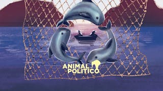 Redes de pesca abandonadas en el mar carecen de manejo especial; Profepa responde que son almacenadas y trituradas por Semar