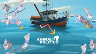 “¿Qué haces con 7 mil 500 pesos al año?”.- el programa Bienpesca de AMLO choca con la realidad de las comunidades pesqueras