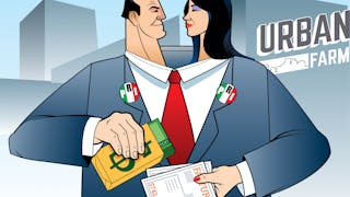 Contrata PRI a empresa ligada a diputada