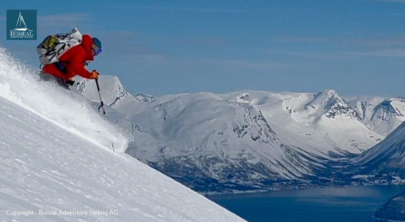 Ski & Sail, Lyngen Alps: skier spraying powder on a steep slope above the fjord