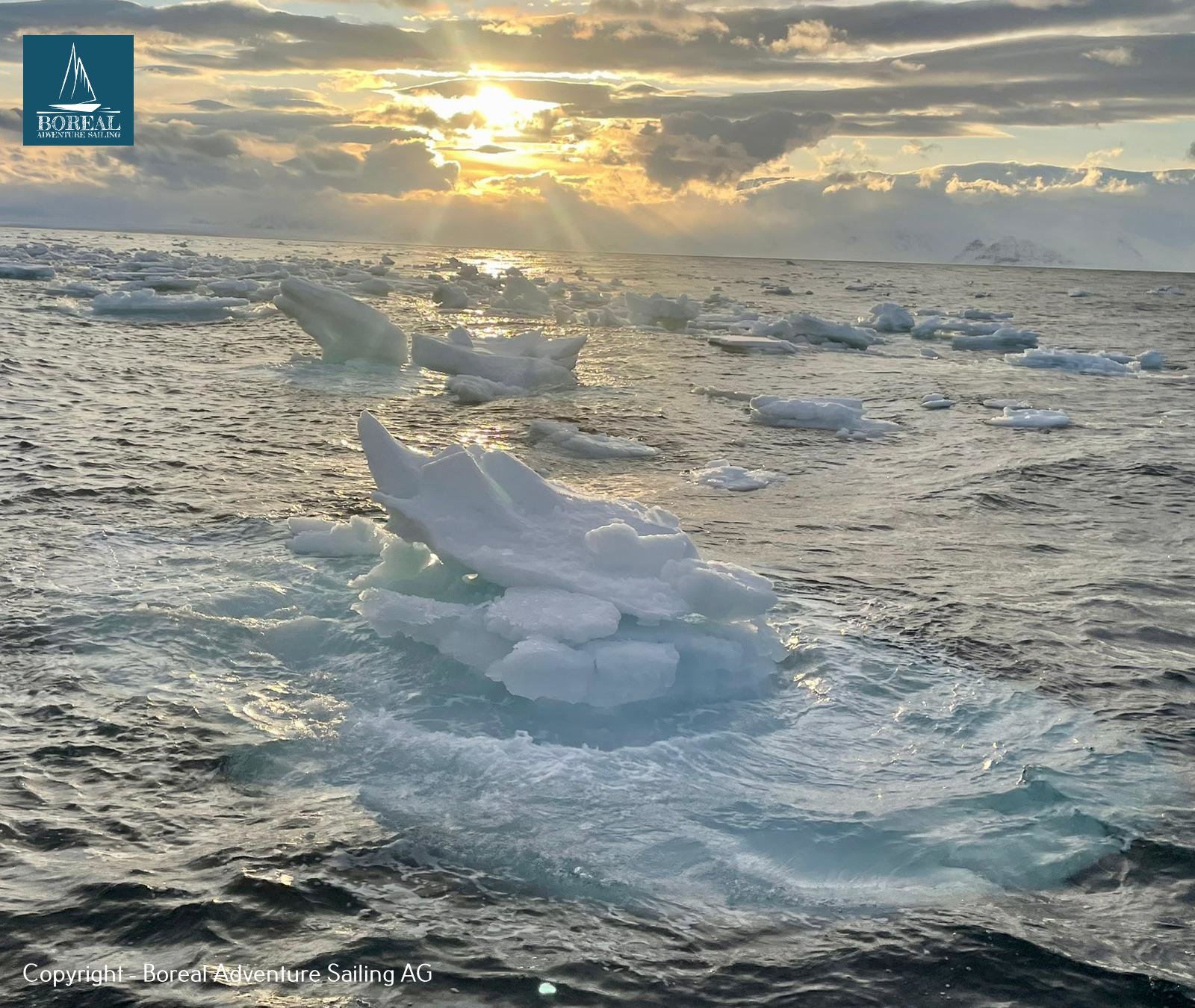 Offshore Sailing: drifting sea ice glowing under a low Arctic sun