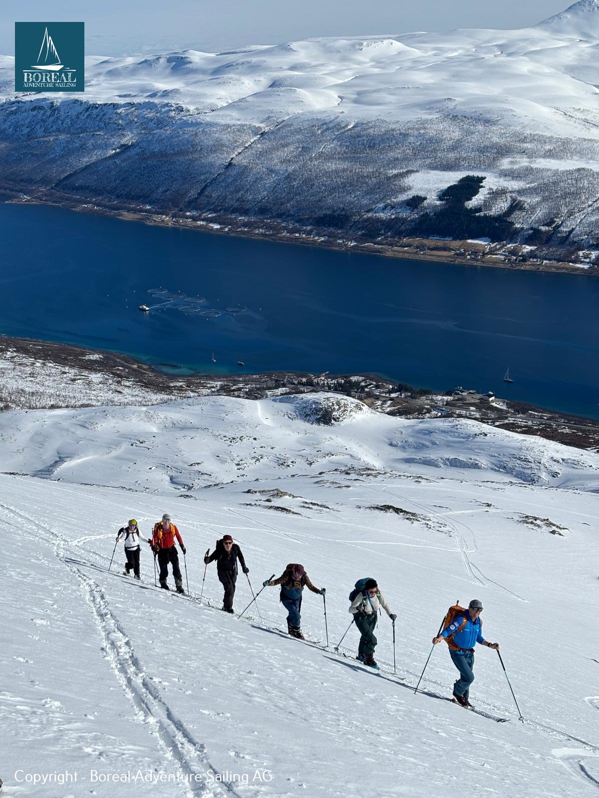 Ski & Sail, Lyngen Alps: group skinning up a snowy slope high above the fjord