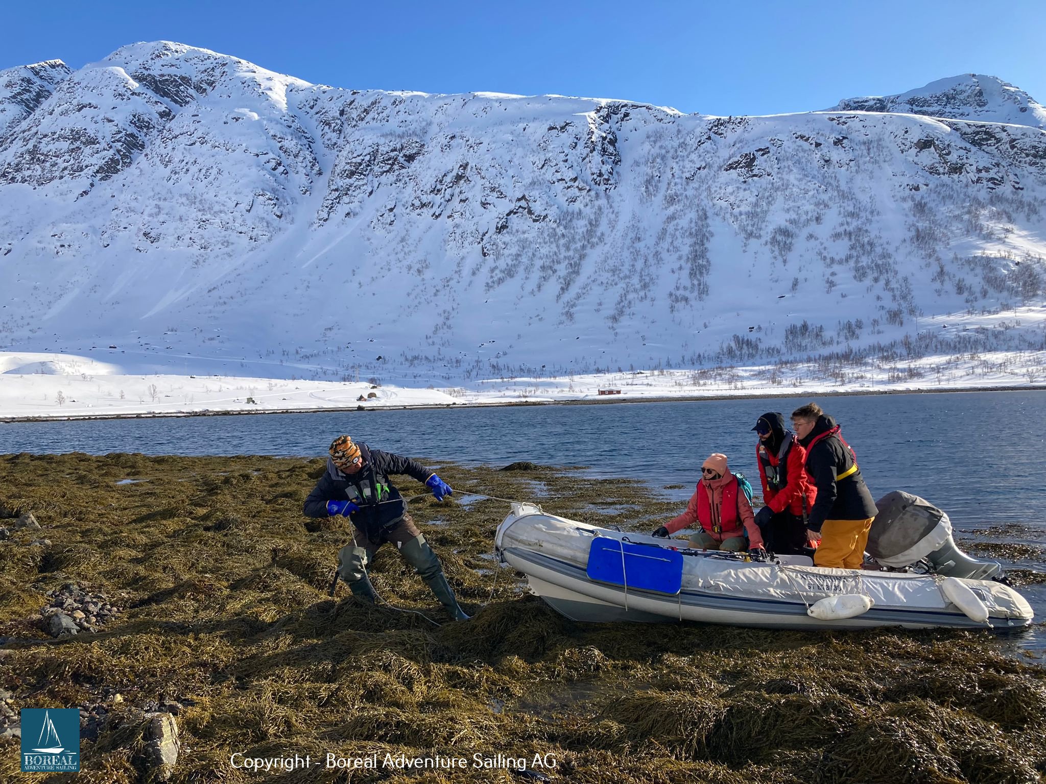 Ski & Sail, Lyngen Alps: dinghy landing guests on a grassy shore below snowy mountains