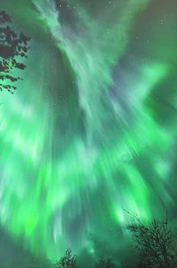 MASSGESCHNEIDERTE REISE