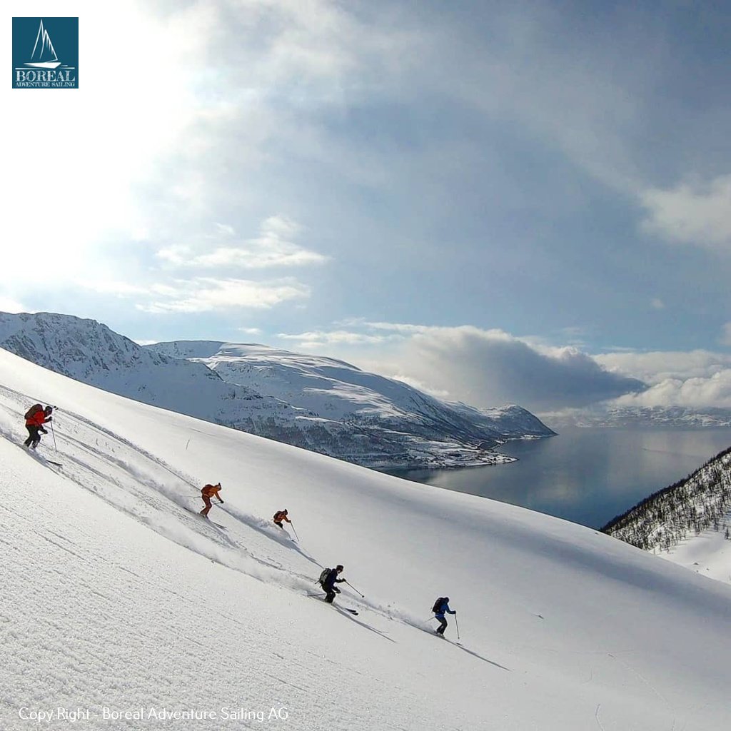 Ski & Sail, Lyngen Alps: group of skiers descending an open powder slope above the fjord