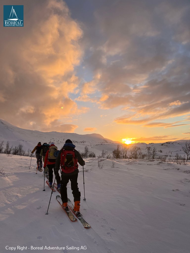 Ski & Sail, Lyngen Alps: ski tourers skinning toward a golden sunset over snowy hills