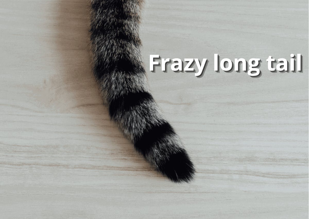Long tail