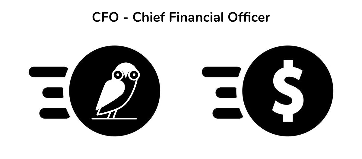 CFO  - Chief Financial Officer