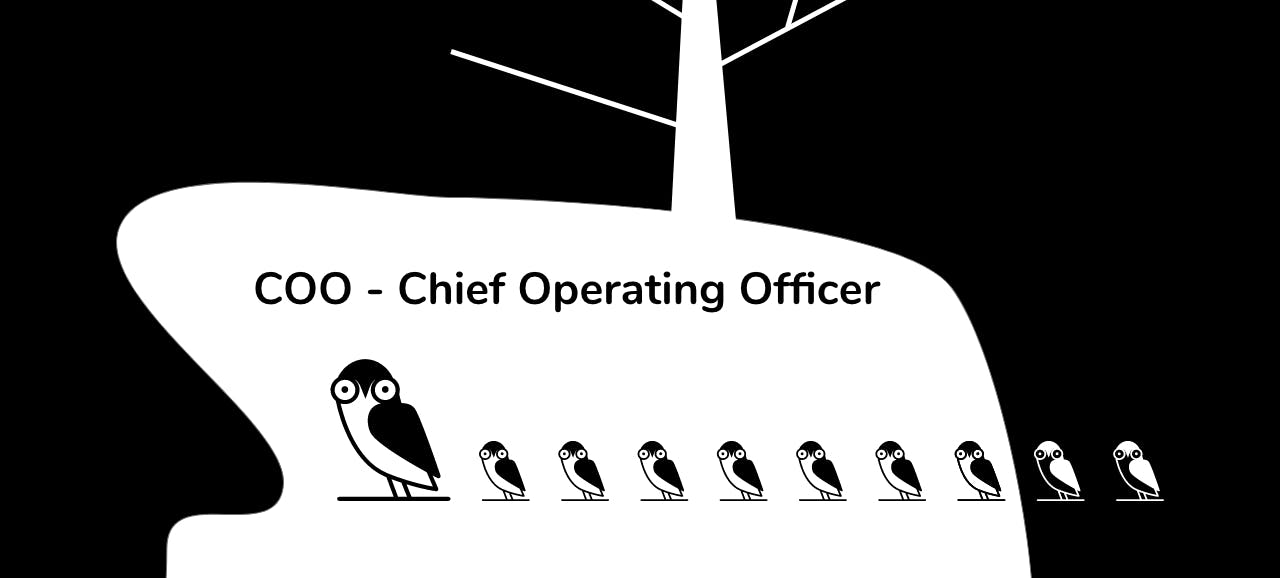 COO (ang. Chief Operating Officer)