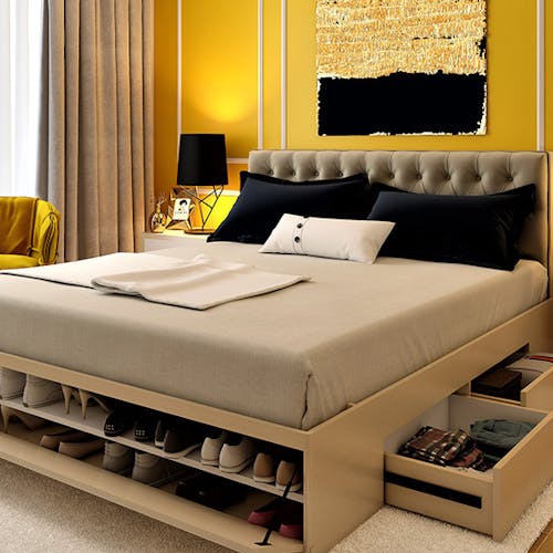 https://images.prismic.io/boskyfurniture/c6fb0e38-fda6-4194-9994-f3c4c41d921b_swanky-shoe-rack-storage-bed-design.jpg?auto=compress,format&rect=188,0,564,564&w=500&h=500