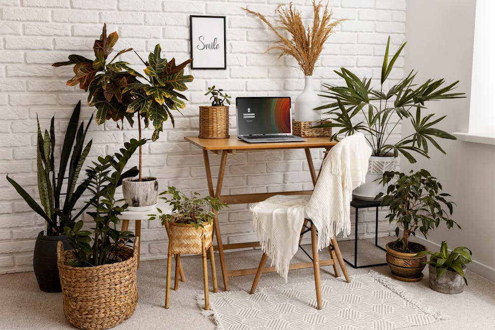 Trending Bohemian Decor Ideas