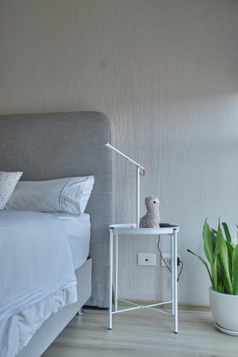 Minimalist Bedroom with Indoor Plants