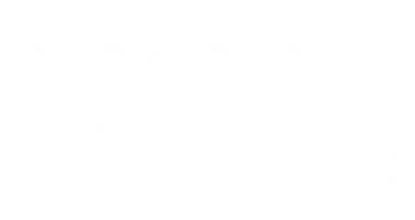 The Japan Foundation