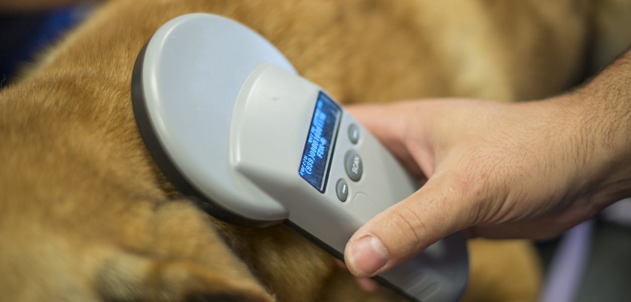 Microchip scanner