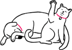 A cat and a dog hanging out