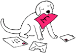 Dog chewing the mail